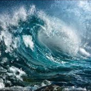 Meet your Posher, Ocean